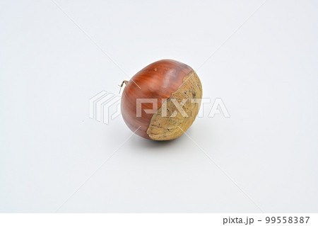 栗 栗 99558387