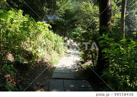 吉備津神社の参道 吉備津神社の参道 99558436