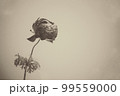 モノクロフラワー 99559000
