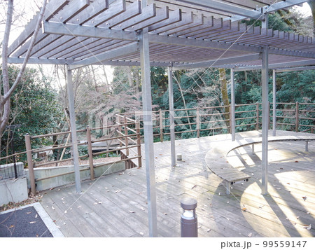 新次郎池（東京の名湧水57選） 99559147