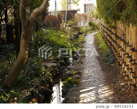 はけの小径（東京の名湧水57選） 99559253