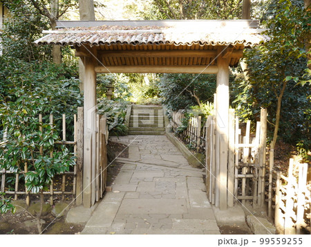 はけの森美術館（東京の名湧水57選） 99559255