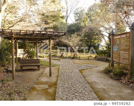滄浪泉園(東京の名湧水57選) 滄浪泉園(東京の名湧水57選) 99559262