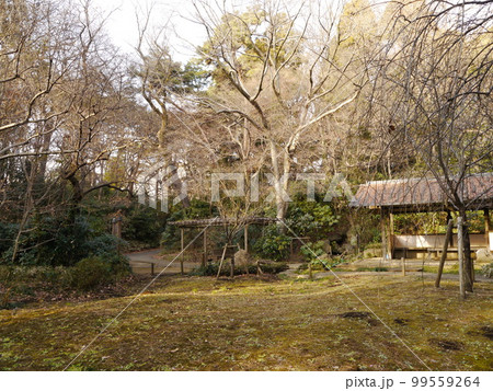 滄浪泉園(東京の名湧水57選) 滄浪泉園(東京の名湧水57選) 99559264