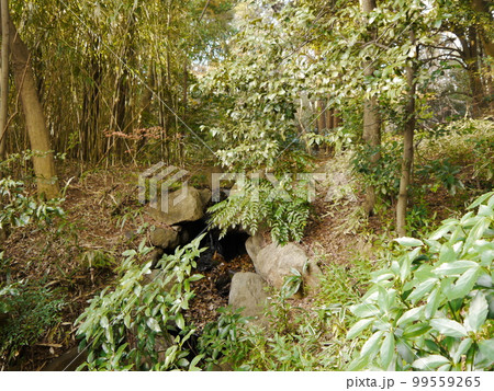滄浪泉園(東京の名湧水57選) 滄浪泉園(東京の名湧水57選) 99559265