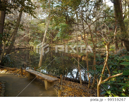滄浪泉園(東京の名湧水57選) 滄浪泉園(東京の名湧水57選) 99559267