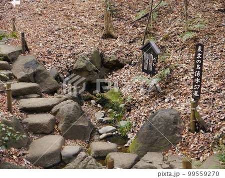 滄浪泉園(東京の名湧水57選) 滄浪泉園(東京の名湧水57選) 99559270