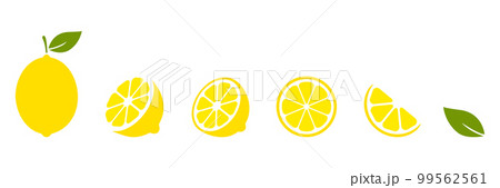 Lemon fruits slices set. 99562561