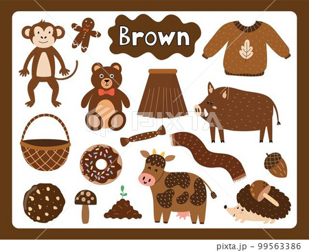 Set of brown color objects. Primary colors flashcard with brown elements 99563386
