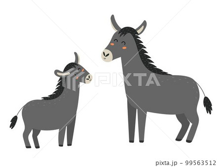 Mother donkey with her baby foal. Cute mom and her child animal characters 99563512