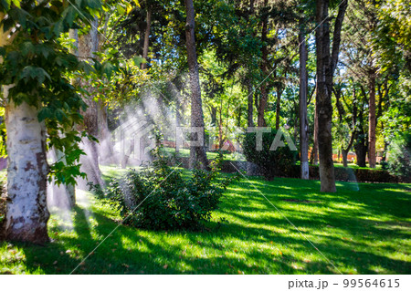 Walkway in Vake Park in Tbilisi 99564615