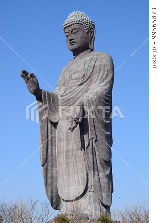牛久大仏 世界最大のブロンズ立像 牛久大仏 世界最大のブロンズ立像 99565873