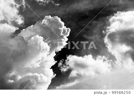 サンパウロの夏の入道雲と空 ブラジル サンパウロの夏の入道雲と空 ブラジル 99566250