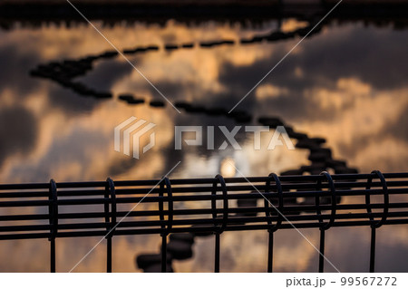 沈む夕日に照らされた光輝く海と人工池の散歩道 99567272