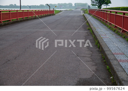 谷中湖　渡良瀬遊水地　下宮橋　新緑の季節　 99567624
