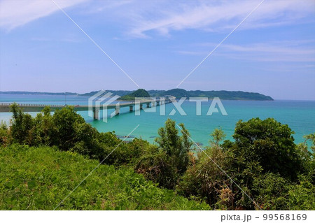 夏の角島大橋 夏の角島大橋 99568169
