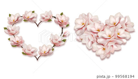 Collection of hearts collected from pink magnolia flowers isolated on a transparent background. Vector illustration. 99568194