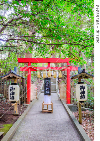 白浜神社本殿鳥居(縦) 白浜神社本殿鳥居(縦) 99568343