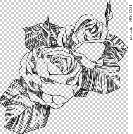 バラの細密画 バラの細密画 99568581