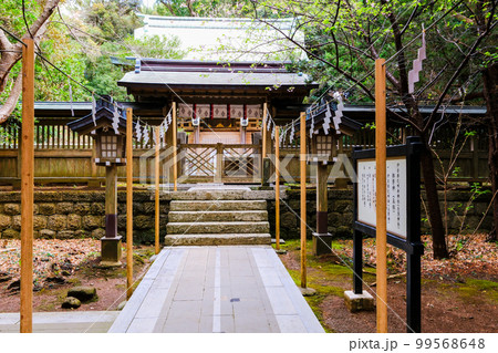 白浜神社御本殿 白浜神社御本殿 99568648