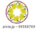 黄色の花の輪 99568769