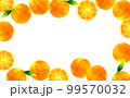 オレンジの果実の背景　フルーツの手描き水彩イラスト素材 99570032