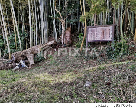 御崎山古墳　山陰島根の古墳 99570046