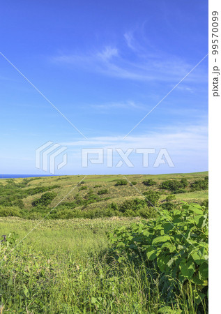 北海道 宗谷丘陵 北海道 宗谷丘陵 99570099