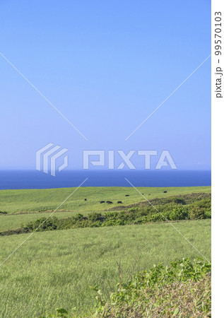 北海道　宗谷丘陵 99570103