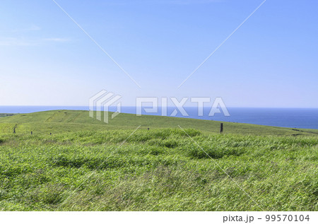 北海道　宗谷丘陵 99570104