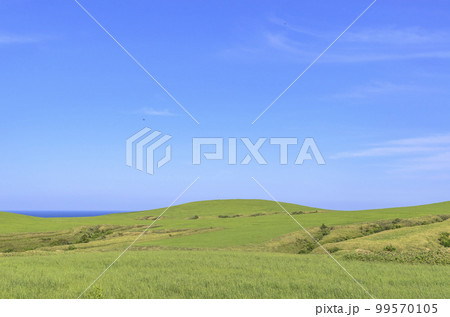 北海道　宗谷丘陵 99570105