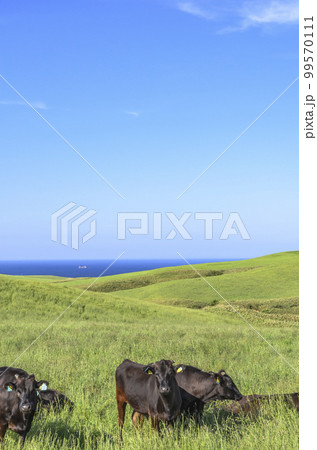 北海道 宗谷丘陵 北海道 宗谷丘陵 99570111