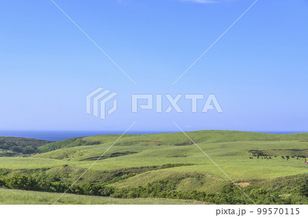 北海道　宗谷丘陵 99570115