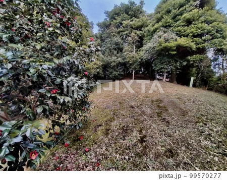 山代方墳 山陰島根の古墳 山代方墳 山陰島根の古墳 99570277