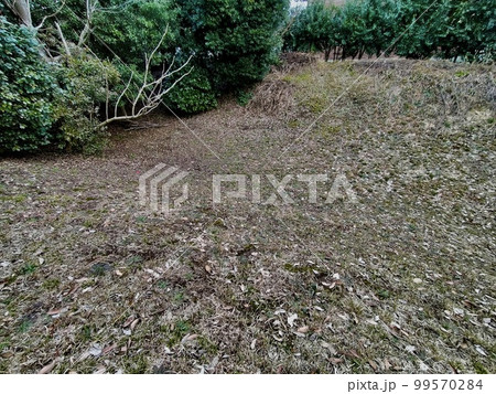 山代方墳 山陰島根の古墳 山代方墳 山陰島根の古墳 99570284