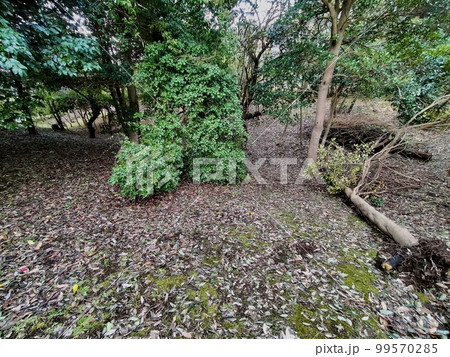 山代方墳　山陰島根の古墳 99570285