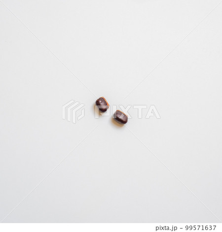 Two cockroach eggs, in which there are many larvae 99571637