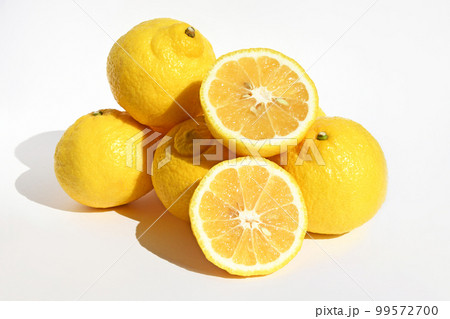 柑橘類（はるか） 99572700