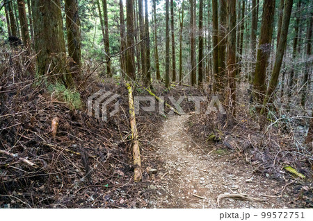 陣馬山登山口経由で陣馬山と高尾山登山 陣馬山登山口経由で陣馬山と高尾山登山 99572751