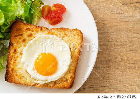 bread toasted with cheese and fried egg bread toasted with cheese and fried egg 99573190