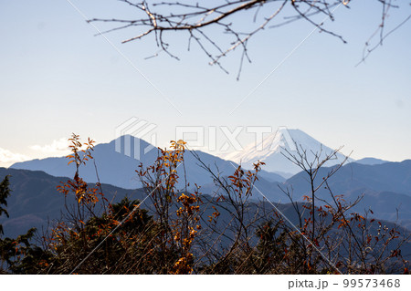 冬の陣馬山から高尾山の登山道から見える富士山 99573468