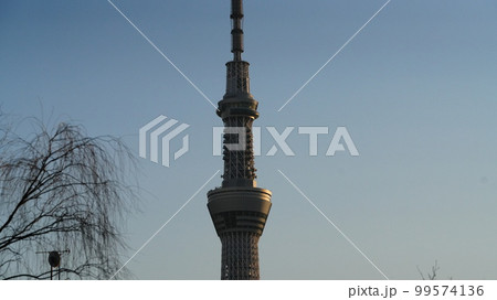 日差しが反射する、東京スカイツリー2023 99574136