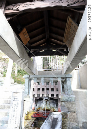 亀の水（兵庫県 明石市） 99575126