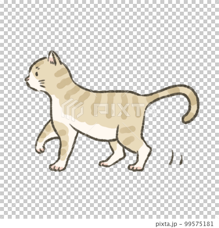 行走的小貓的插圖 99575181