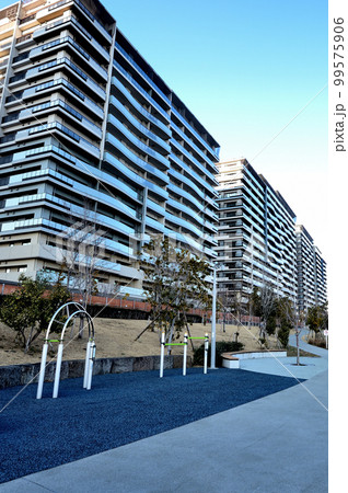 東京 工事中の晴海フラッグと晴海緑道公園 高層マンション群の風景 東京 工事中の晴海フラッグと晴海緑道公園 高層マンション群の風景 99575906