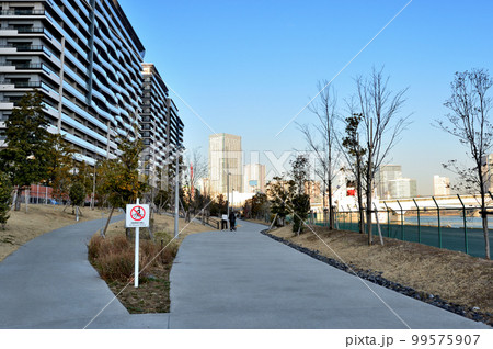 東京 工事中の晴海フラッグと晴海緑道公園 高層マンション群の風景 東京 工事中の晴海フラッグと晴海緑道公園 高層マンション群の風景 99575907