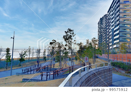 東京 工事中の晴海フラッグと晴海緑道公園 高層マンション群の風景 東京 工事中の晴海フラッグと晴海緑道公園 高層マンション群の風景 99575912