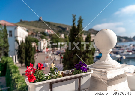 A beautiful view through the bright flowers of petunias to the sea bay with yachts. Turquoise sea against the backdrop of mountains and a clear blue sky. A beautiful view through the bright flowers of petunias to the sea bay with yachts. Turquoise sea against the backdrop of mountains and a clear blue sky. 99576349