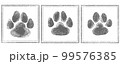 肉球　スタンプ　足跡 99576385