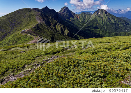 八ヶ岳連峰・硫黄岳から見る夏の八ヶ岳主峰群 八ヶ岳連峰・硫黄岳から見る夏の八ヶ岳主峰群 99576417